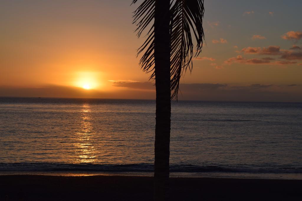 波多·纳奥斯Apartamento Atlantico Playa 1公寓 客房 照片
